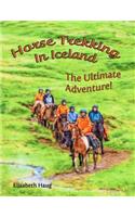 Horse Trekking in Iceland