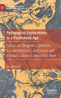 Pedagogical Explorations in a Posthuman Age