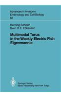 Multimodal Torus in the Weakly Electric Fish Eigenmannia