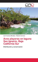 Aves playeras en laguna San Ignacio, Baja California Sur