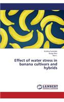 Effect of Water Stress in Banana Cultivars and Hybrids