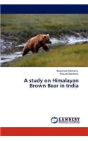 study on Himalayan Brown Bear in India