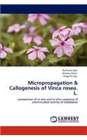 Micropropagation & Callogenesis of Vinca rosea. L.