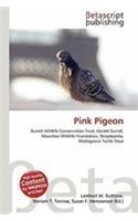 Pink Pigeon