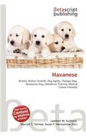 Havanese