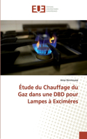 Étude du Chauffage du Gaz dans une DBD pour Lampes à Exciméres