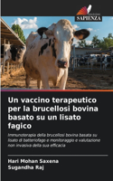 vaccino terapeutico per la brucellosi bovina basato su un lisato fagico