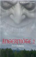Ångernjöte 2