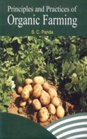 Agronomy Fodder Forage Crops