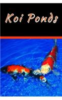 Koi Ponds