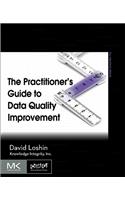 Practitioner's Guide to Data Quality Improvement