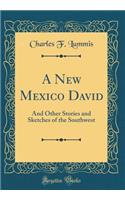 A New Mexico David: And Other Stories and Sketches of the Southwest (Classic Reprint): And Other Stories and Sketches of the Southwest (Classic Reprint)