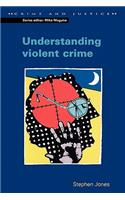 Understanding Violent Crime