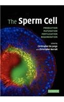 The Sperm Cell