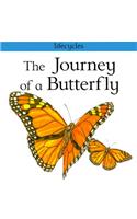 The Journey of a Butterfly