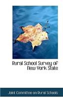 Rural School Survey of New York State