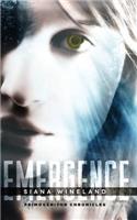 Emergence
