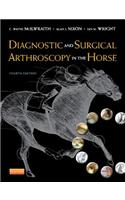 Diagnostic and Surgical Arthroscopy in the Horse