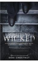 Something Wicked: A Ghost Hunter Explores Negative Spirits