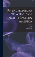 Rhynchophora or Weevils of North Eastern America