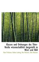 Klassen Und Ordnungen Des Thier-Reichs Wissenschaftlich Dargestellt in Wort Und Bild