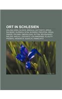 Ort in Schlesien: Zielona Gora, Gliwice, Breslau, Kattowitz, Opole, Raciborz, OLE Nica, Nysa, K Odzko, Pszczyna, Opava, Zabrze, Prudnik(German)