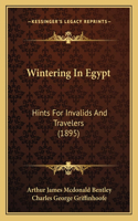 Wintering In Egypt