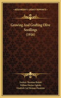 Growing And Grafting Olive Seedlings (1916)