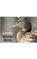Lovely Water Birds 2018