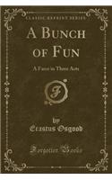 A Bunch of Fun: A Farce in Three Acts (Classic Reprint)