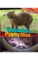 Capybaras and Pygmy Mice
