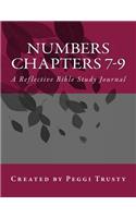 Numbers, Chapters 7-9: A Reflective Bible Study Journal(The Reflective Bible Study)