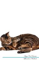 Toyger Cat Affirmations Workbook Toyger Cat Presents