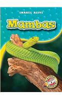 Mambas