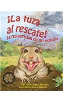 La Tuza Al Rescate: La Recuperación de Un Volcán (Gopher to the Rescue! a Volcano Recovery Story)
