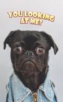 You looking at me?: Doggy Notebook(1 Doggy Notebook)