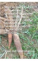 Seleção participativa de materiais geneticos superiores de mandioca na produção de raizes e rendimento em farinha nas regiões de Macapá e Mazagão