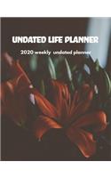 Undated Life Planner: 2020 Undated Weekly Planner: Weekly & Monthly Planner, Organizer & Goal Tracker - Organized Chaos Planner 2020(3 Chaos Manager)