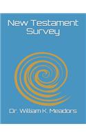 New Testament Survey