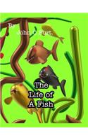 The Life of A Fish.