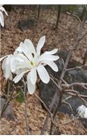 2019 Weekly Planner Early Spring White Flowers 134 Pages: (2019 Planners Calendars Organizers Datebooks Appointment Books Agendas)