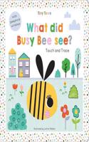 What did Busy Bee see?: (Tiny Town Touch and Trace)