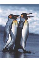 Penguin Waddle Blank Book Lined Journal (5x7)