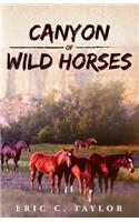 Canyon of Wild Horses