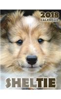 Sheltie 2018 Calendar