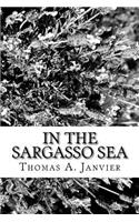 In the Sargasso Sea