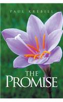 Promise