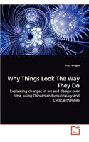 Why Things Look The Way They Do