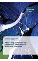 Revealing Evolutionary Factors of Exon-Intron Structure in Genes