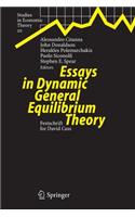 Essays in Dynamic General Equilibrium Theory